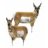 Montana Decoy Co. Antelope Decoy Combo, Brown, 83