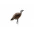 Montana Decoy Co. Miss Purrfect XD Turkey Hen Decoy w/Strap, QW0084