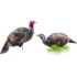 Montana Decoy Co. Purr-Fect Pair XD Decoy Combo, Multi, 86