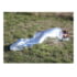 Red Rock Outdoor Gear Emergency Blanket, Silver, 06-004