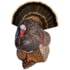 Rinehart Spot and Stalk Decoy Turkey, Brown, 48511