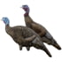 Rinehart Turkey Decoy Combo Hen and Jake, Black, 49611