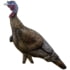 Rinehart Turkey Decoy Jake, Black, 49711