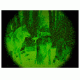 Night Vision image of Wolves