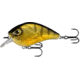 Rapala Flatty Daddy Flat Sided Crankbait 2.5in, 1/2oz, Clear Perch, 2.5in, FD65-6-65