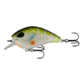 Rapala Flatty Daddy Flat Sided Crankbait 2.5in, 1/2oz, Dream Gill, 2.5in, FD65-6-8