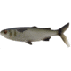 Rapala The Mullet Boot Tail Swimbaits, 1, 5 - 6.5in, Natural Mullet, CB-MULLET-B-6.5-20