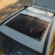 Luno Sunroof Window Screen 0C2004AE, WND-004-R1