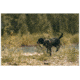 5.11 Tactical Mission Ready Dog Harness - 56789ABR-1055-M