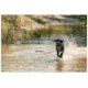5.11 Tactical Mission Ready Dog Harness - 56789ABR-1055-M