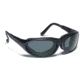 7Eye Warrior Tactical Sunglasses w/ Day Night Lens