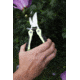 AccuSharp 084C Gardeners Multi-Tool Black/Green Folding Plain