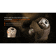 Acebeam X20-R 18650 Li-ion 10000 Lumens LED Flashlight, Desert, X20-R Desert