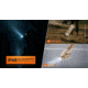 Acebeam X20-R 18650 Li-ion 10000 Lumens LED Flashlight, Desert, X20-R Desert