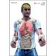 Action Target Bag of Bones, Man w/ Two Guns Anatomical Paper Target, 100 Pack
