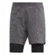 Adidas Terrex Agravic 2 In 1 Short - Men's, Grey Five, DS8765-DEMO
