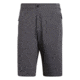 Adidas Terrex Lite Flex Short - Men's, Grey Five, 34, CF4718-34