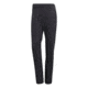 Adidas Terrex Women's Multi Pant, Carbon, Medium, CW0796-M