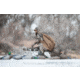 Rig'Em Right Recon Decoy Bag, 36in x 42in, 600