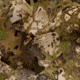 Allen 25358 Vanish Camo 3D Leafy Omnitex 56 Long