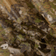 Allen 25358 Vanish Camo 3D Leafy Omnitex 56 Long