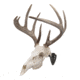 Allen EZ Mount Skull Hanger, Fixed, Black, 7227