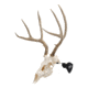 Allen EZ Mount Skull Stand Deer Size, 7203