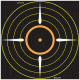 Allen EZ See Bullseye 17x17 Inch Five Per Package