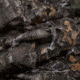 Allen Vanish 3D Leafy Omnitex Hunting Blind, Realtree Edge, 12ft X 56in, 25326