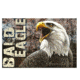 American Expedition Bald Eagle Graphic Canvas Art, 15.7in x 23.6in x 1.12in 4001022