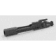 Anderson Manufacturing M16 .223/5.56 Bolt Carrier Group BCG w/ Logo,Chrome Lined,Box AM-10-08-M16-LOGO