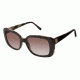 Ann Taylor ATP901 Sunglasses - Frame Black / Tortois, Lens Color Dark Grey Gradient, Size 49/16mm TYATP90101