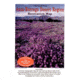 Anza-borrego Desert Rec Map, Earthwalk Press, Publisher - Earthwalk Press