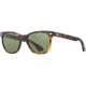 AO Saratoga Sunglasses, Tortoise, Calobar Green AOLite Nylon Lenses, 52-19-145 B42, SAR152ST--GNN
