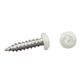 AP Products Pan Head Square Recess Screw, 1-1/2, White, Pack of 500, 012-PSQ500 W 8 X 1-1/2