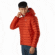 Arcteryx Cerium LT Hoody - Mens, Dynasty, Large, 414540