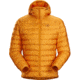 Arcteryx Cerium LT Hoody - Mens, Quantum, Medium, 434900