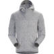 Arcteryx Covert Hoody - Mens, Pegasus, Extra Small, 348282