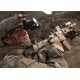 Armasight MCS Day Time Red Dot Sight, Tan DAS01XX25MCSTAN