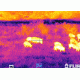 Rearmed, Armasight Predator 336 2-8x25 Thermal Imaging Rifle Scope, FLIR Tau 2, 336x256, 17m, 60Hz Core, 25mm Lens, TAT176WN2PRED21