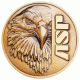 ASP Eagle Logo Cap, Brass 54101