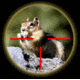 ATN Digital Ultra Sight Reticle Pattern - Post