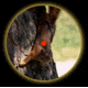 ATN Digital Ultra Sight Reticle Pattern - Dot