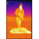 ATN Mini-Thor 320-3x Thermal Imaging Weapon Sight TIWSMT323C