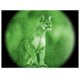 ATN Night Cougar LT Night Vision Goggles NVGONCLT10