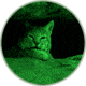 ATN Night Shadow II Generation Night Vision Device, Image