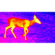 ATN OTS 4T, 1-10x, 640x480, Thermal Viewer w/ Full HD Video rec, WiFi, Smooth zoom, iOS/Android Controlling App, Black, TIMNO4641A