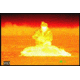 ATN OTS-X-E330, 320x240, 30mm, 60Hz Thermal Imaging Monocular TIMNOTSXE330