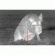 Demo,ATN Thor240 1-4x Thermal Weapon Scope,240x180,19mm,30Hz,25 micron TIWSMT241D