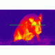 Demo,ATN Thor240 1-4x Thermal Weapon Scope,240x180,19mm,30Hz,25 micron TIWSMT241D